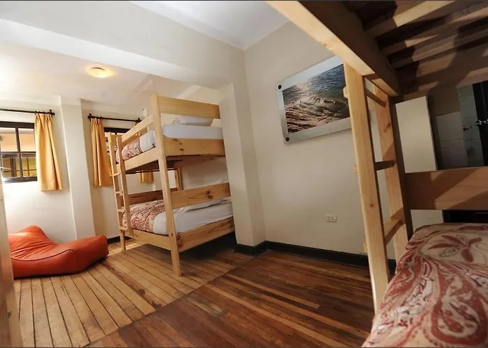 Hostel Bear Packer