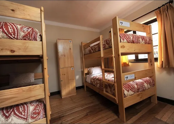 Hostel Bear Packer Cusco