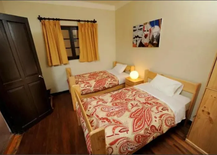 Hostel Bear Packer Cusco