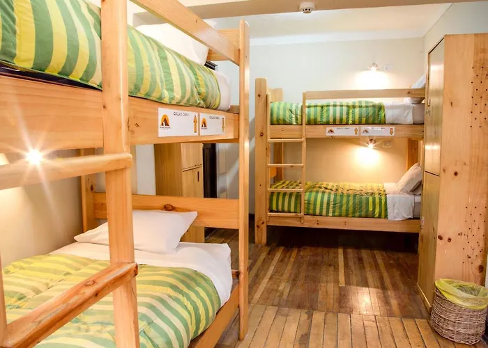 Hostel Bear Packer Cusco