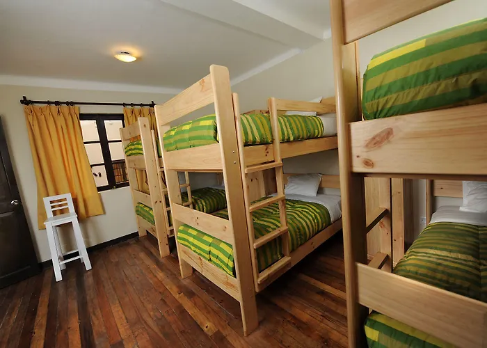 Bear Packer Hostel