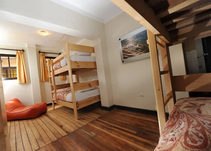 Hostel Bear Packer Cusco