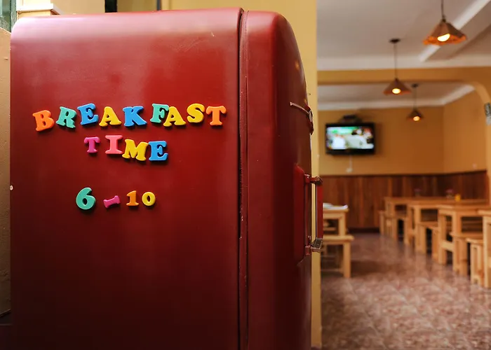 Bear Packer Hostel *
