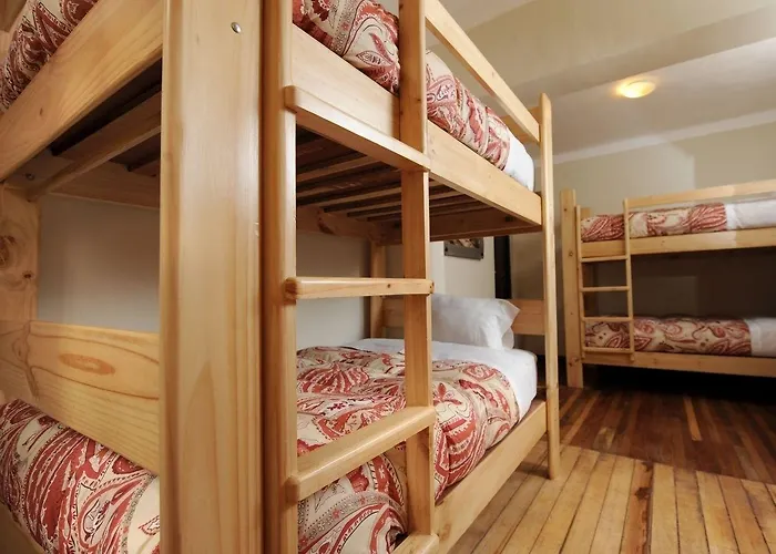 Hostel Bear Packer *