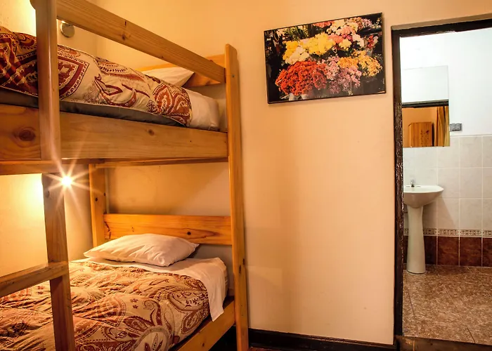 Bear Packer Hostel *
