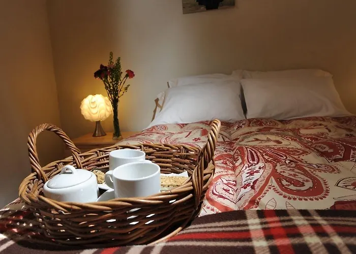 Bear Packer Hostel Cusco