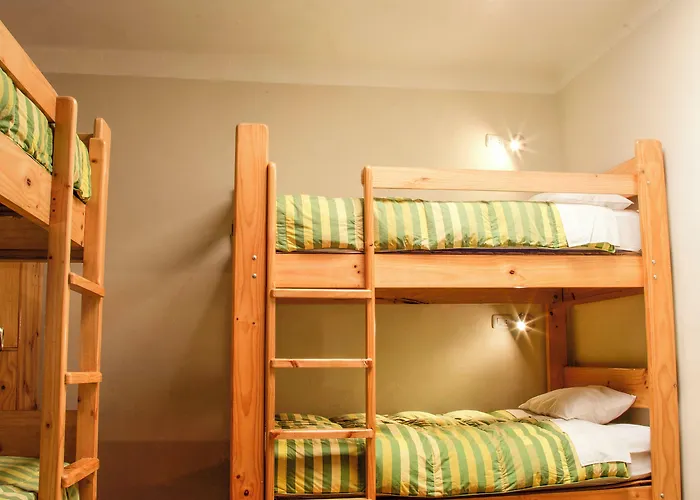 Bear Packer Hostel