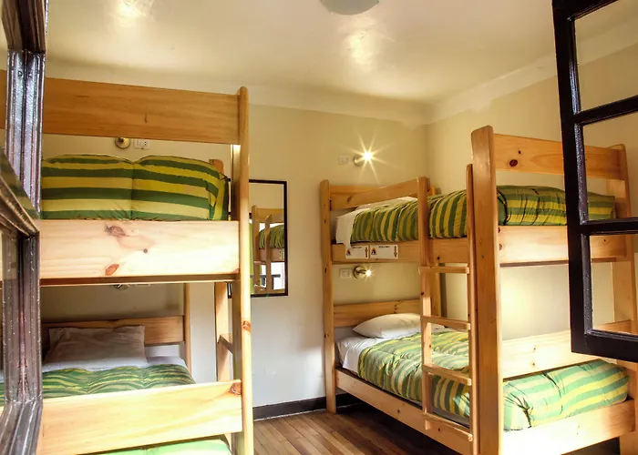 Bear Packer Hostel