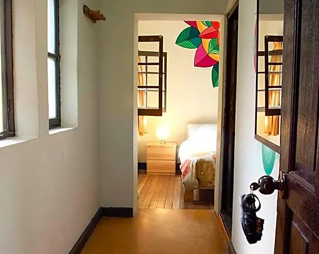 Hostel Bear Packer *