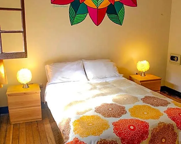 Bear Packer Hostel Cusco
